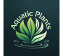Aquatic Plants