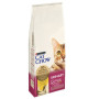 Сухий корм для дорослих кішок Purina Cat Chow Urinary Tract Health із куркою 15 кг