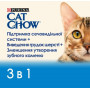 Сухий корм для кішок Purina Cat Chow Special Care 3in1 з індичкою 1.5 кг
