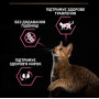 Сухой корм для кошек с чувствительным пищеварением Purina Pro Plan Cat Adult Delicate Digestion Lamb с ягненком  1.5 (кг)