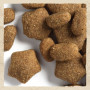 Сухий корм для активних собак усіх порід Purina Dog Chow Active Chicken із куркою 2.5 (кг)