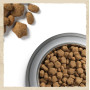 Сухой корм для активных собак всех пород Purina Dog Chow Active Chicken с курицей  14 (кг)