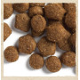Сухой корм для щенков всех пород Purina Dog Chow Puppy Lamb с ягненком  14 (кг)