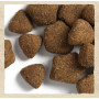 Сухий корм для дорослих собак усіх порід Purina Dog Chow Adult Lamb з ягнятком 2.5 (кг)