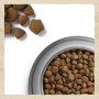 Сухой корм для взрослых собак всех пород Purina Dog Chow Adult Lamb с ягненком 14 (кг)