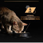 Влажный корм для стерилизованных кошек Purina Pro Plan Adult Sterilised Maintenance Кусочки с говядиной 13 шт по 85 г