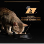 Вологий корм для кішок з чутливим травленням Purina Pro Plan Delicate Паштет з індичкою 12 шт по 85 г