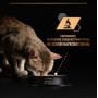 Вологий корм для дорослих кішок Purina Pro Plan Adult Maintenance Шматочки в паштеті з куркою 12 шт по 85 г