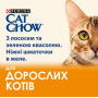 Вологий корм для дорослих кішок Purina Cat Chow Adult шматочки в желе з лососем та зеленою квасолею 13 шт по 85 г