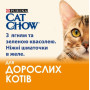 Влажный корм для взрослых кошек Purina Cat Chow Adult кусочки в желе с ягненком и зеленой фасолью 13 шт по 85 г