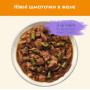 Вологий корм для дорослих кішок Purina Cat Chow Adult шматочки в желе з ягнятком та зеленою квасолею 13 шт по 85 г