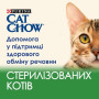 Влажный корм для взрослых стерилизованных кошек Purina Cat Chow Sterilised с ягненком и зеленой фасолью 13 шт по 85 г