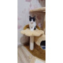 Кігтеточка - будиночок Lucky Pet "Парадайз", сезалевий, 120х57х57 см