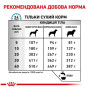 Сухий корм для собак Royal Canin Skin Care Adult Canine при атопії та дерматозах 11 кг