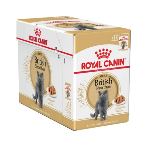 Вологий корм для дорослих кішок породи британська короткошерста Royal Canin British Shorthair Adult 12 шт х 85 г