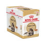 Влажный корм для взрослых кошек породы мейн-кун Royal Canin Maine Coon Adult 12 шт х 85 г Влажный корм для взрослых кошек породы мейн-кун Royal Canin Maine Coon Adult 12 шт х 85 г