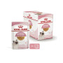 Влажный корм для котят Royal Canin Kitten Instinctive в желе 12 шт х 85 г