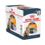 Вологий корм для кішок Royal Canin Intense Beauty в желе 12 шт х 85 г (для шкіри та вовни)