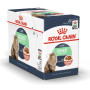 Влажный корм для котов с чувствительным пищеварением Royal Canin Digestive Care в соусе 12 шт х 85 г