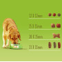 Сухой корм для взрослых активных собак Friskies Active с говядиной 10 (кг)