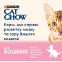 Сухий корм для кошенят Purina Cat Chow Kitten з куркою 15 кг