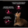 Сухий корм для стерилізованих кішок Purina Pro Plan Cat Adult Sterilised Savoury Duo Сod & Тrout з тріскою та фореллю 1.5 (кг)