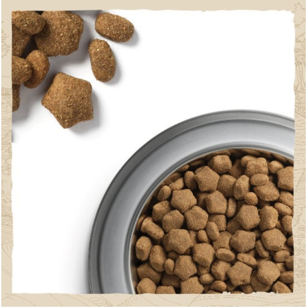 Сухой корм для взрослых собак с чувствительным пищеварением Purina Dog Chow Adult Sensitive с лососем