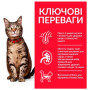 Сухой корм Hill`s SP Fel Adult для взрослых кошек с ягненком 10 (кг)