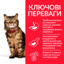 Сухой корм Hill's SP Feline Adult Sensitive Stomach & Skin для взрослых кошек с чувствительным пищеварением и кожей 300 (г)