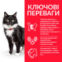 Сухой корм Hill's Science Plan Mature Adult 7+ Sterilised, для пожилых стерилизованных кошек, с курицей 300 (г)