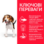 Сухой корм Hill's Science Plan Canine Medium Puppy для щенков средних пород с ягненком и рисом  14 (кг)
