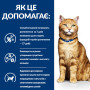Cухий корм Hill's Prescription Diet Feline C/D Multicare для лікування захворювань сечових шляхів у кішок 3 (кг)