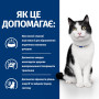 Сухий корм Hill's PD Feline I/D ActiveBiome+ для дорослих котів із проблемами ШКТ з куркою 1.5 (кг)