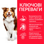 Сухий корм  Hill's Science Plan Mature Canine Adult Medium Breed 7+, для літніх собак середніх порід, з ягнятком і рисом 2.5 (кг)