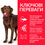 Сухий корм Hill's Science Plan Canine Adult Healthy Mobility для дорослих собак великих порід, здорова рухливість, 14 кг