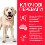 Сухий корм Hill's Science Plan Canine Adult Light Large Breed для малоактивних дорослих собак великих порід, з куркою, 14 кг