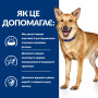Сухой корм Hill's Prescription Diet i/d для собак, для уменьшения пищеварительных расстройств 12 (кг)