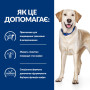 Сухий корм Hill’s Prescription Diet d/d для собак з чутливим травленням і захворюванням шкіри, качка та рис 12 (кг)