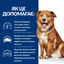 Сухой корм Hill's Prescription Diet Canine Derm Complete для собак при пищевой аллергии и атопическом дерматите 12 (кг)