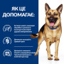 Сухий корм Hill’s Prescription Diet Gastrointestinal Biome для собак із чутливим травленням 10 (кг)