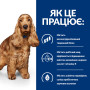 Сухой корм Hill's Prescription Diet Canine Z/D – для взрослых собак склонных к пищевой аллергии 3 (кг)