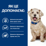 Сухий корм Hill's Prescription Diet Canine W/D - для дорослих собак із цукровим діабетом, 10 кг