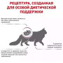 Сухий корм Royal Canin Early Renal Feline для кішок старше 7 років (підтримка функції нирок) 400 г