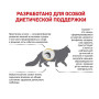 Сухой корм Royal Canin Urinary S/O Feline Moderate Calorie для кошек со склонностью к набору лишнего веса и заболеваниями мочевыводящих путей 400 г