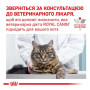 Сухой корм для кошек Royal Canin Skin & Coat Feline при дерматозе и выпадении шерсти 400 (г)