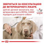 Вологий корм для собак Royal Canin Diabetic Special LC Dog Cans при цукровому діабеті 410 г