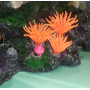 Декорація для акваріума "Корал актинія" 10х7х8 см