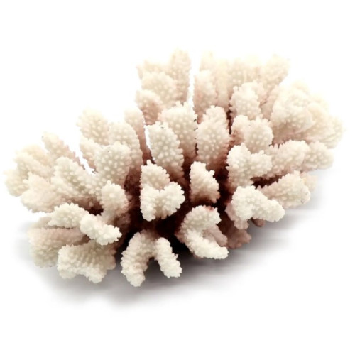 Декорація для акваріума "Корал білий" 22х16х8 см
