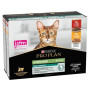 Упаковка влажного корма для взрослых стерилизованных кошек Purina Pro Plan Sterilised кусочки в соусе с говядиной 5 х 85 г, с курицей 5 х 85 г (Мультипак)