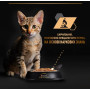 Упаковка влажного корма для котят Purina Pro Plan Kitten Healthy Start кусочки в соусе с индейкой 10 x 85 г (Мультипак)
